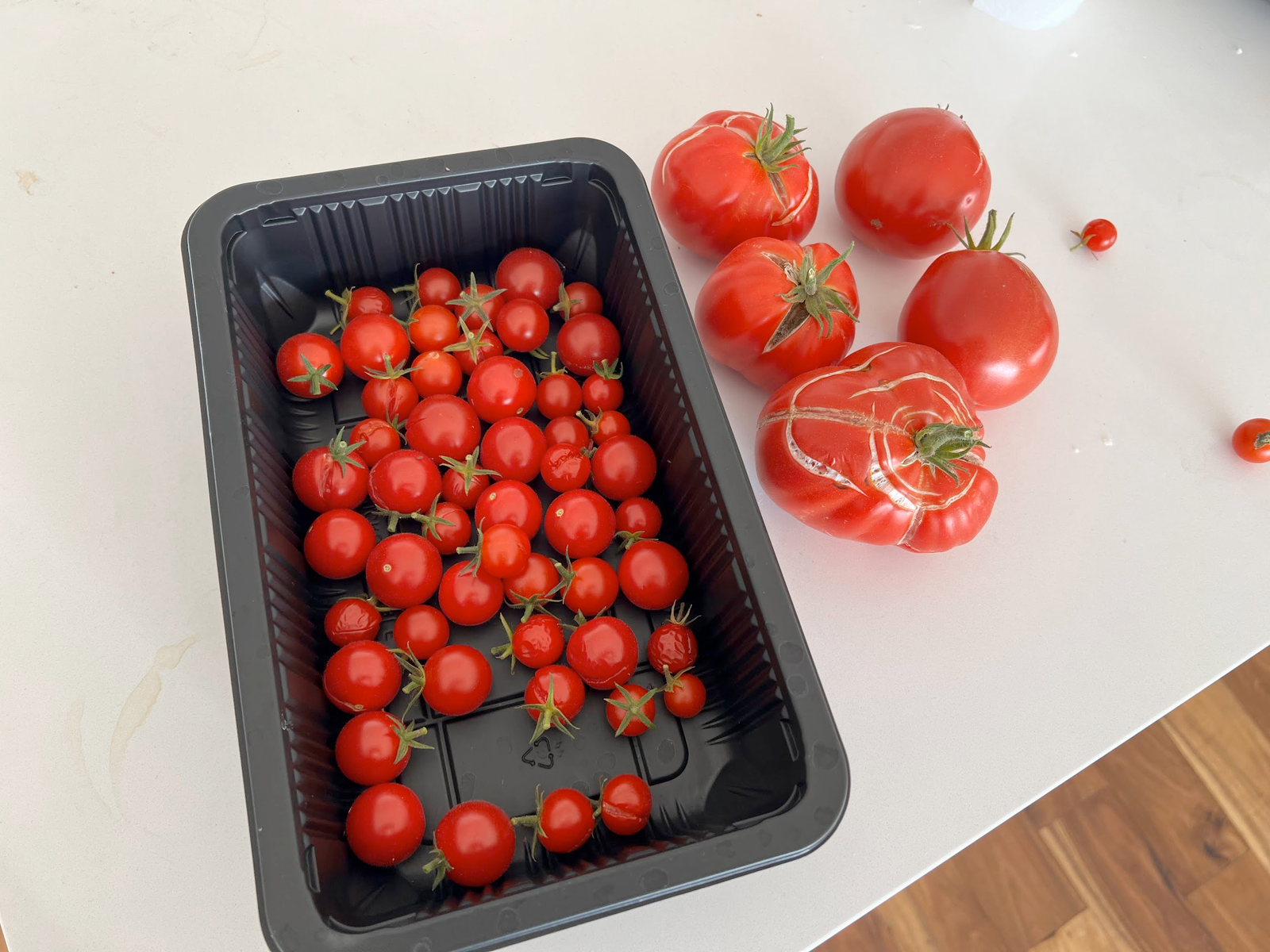 2024 Harvests